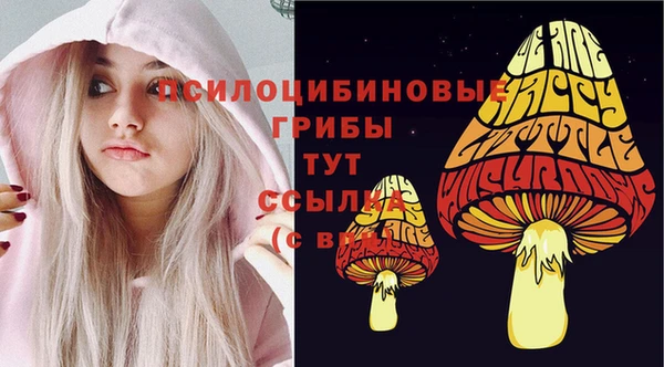 2c-b Касимов