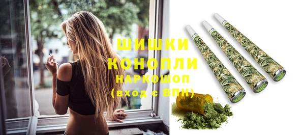 крисы Ессентукская