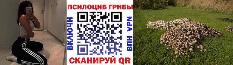 hydra зеркало  купить   shop наркотические препараты  Галлюциногенные грибы мицелий  Семёнов 